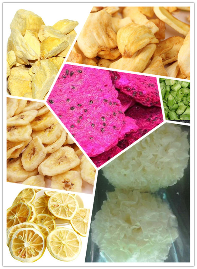 4kg Per Batch Mini Vacuum Freeze Dryer For Pet Food Dog Treats