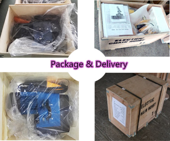 2T 5T Mini Electric Chain Hoist With Clutch And Inverter Fully Sealed Design