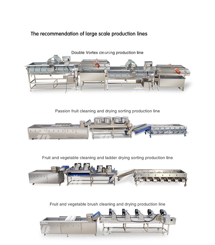 380V Fruit And Vegetable Processing Line Sweet Potato Picking Hair Roller Bubble Cleaning Drying Cutting Machine