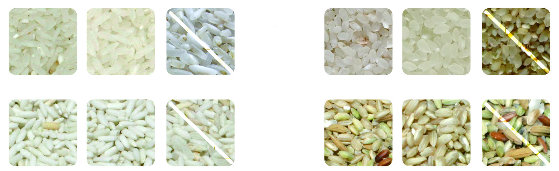 Intelligent Rice Color Sorter Machine , 2T/h Rice Separator Machine