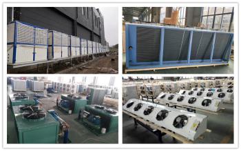 Shenzhen Ruifujie Technology Co., Ltd.
