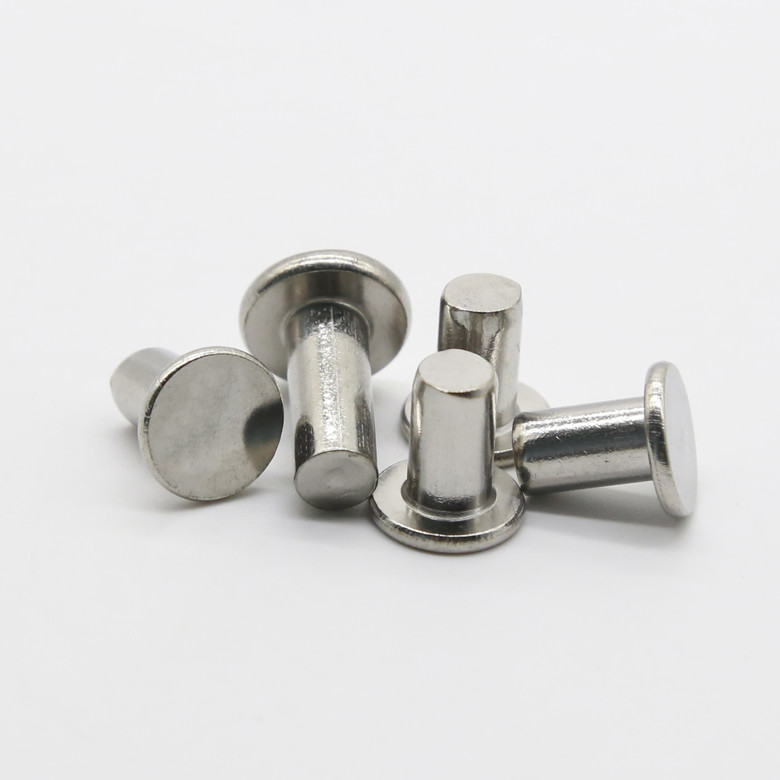 Stainless Steel Flat Truss Head Solid Rivets Thin Head Solid Rivets Flat Head Solid Rivets