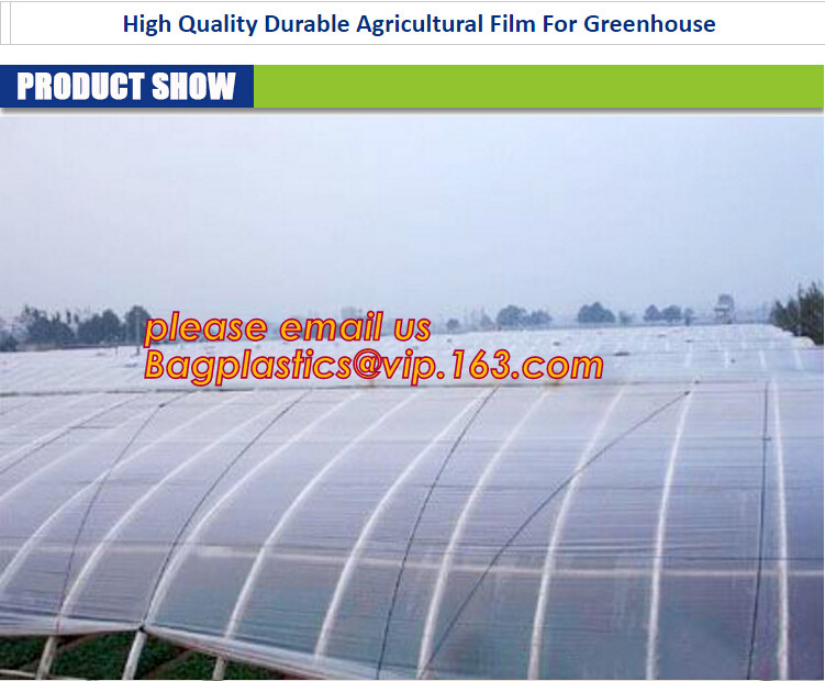 100% new HDPE insect mesh / anti bird net for apple trees,greenhouse anti insect net for plant, agriculture net Anti-ins