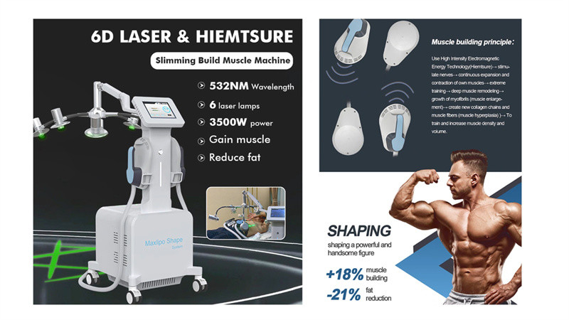 Low Level 6D Laser Fat Reduce 532nm Green 635nm Red Light Therapy Cold Laser Therapy Device