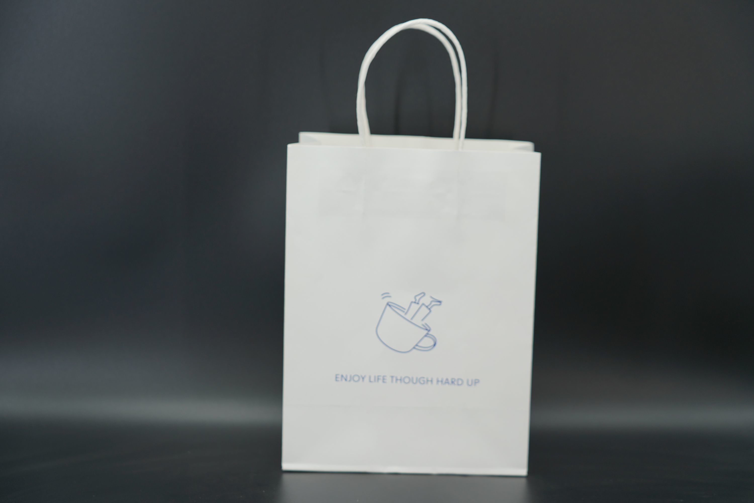Versatile Premium Custom Printed Paper Bags Biodegradable With Twisted Handles