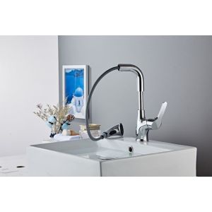Pull Out Basin New Design Faucets