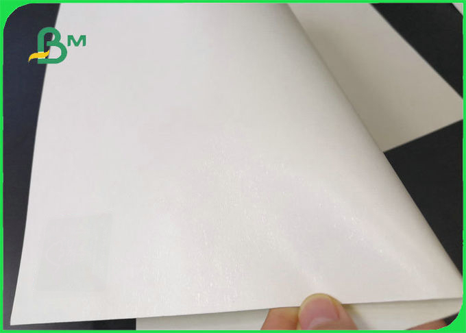 300g +10g PE Coating Lunch Box Paper For Food Take Away Eco Friendly FDA