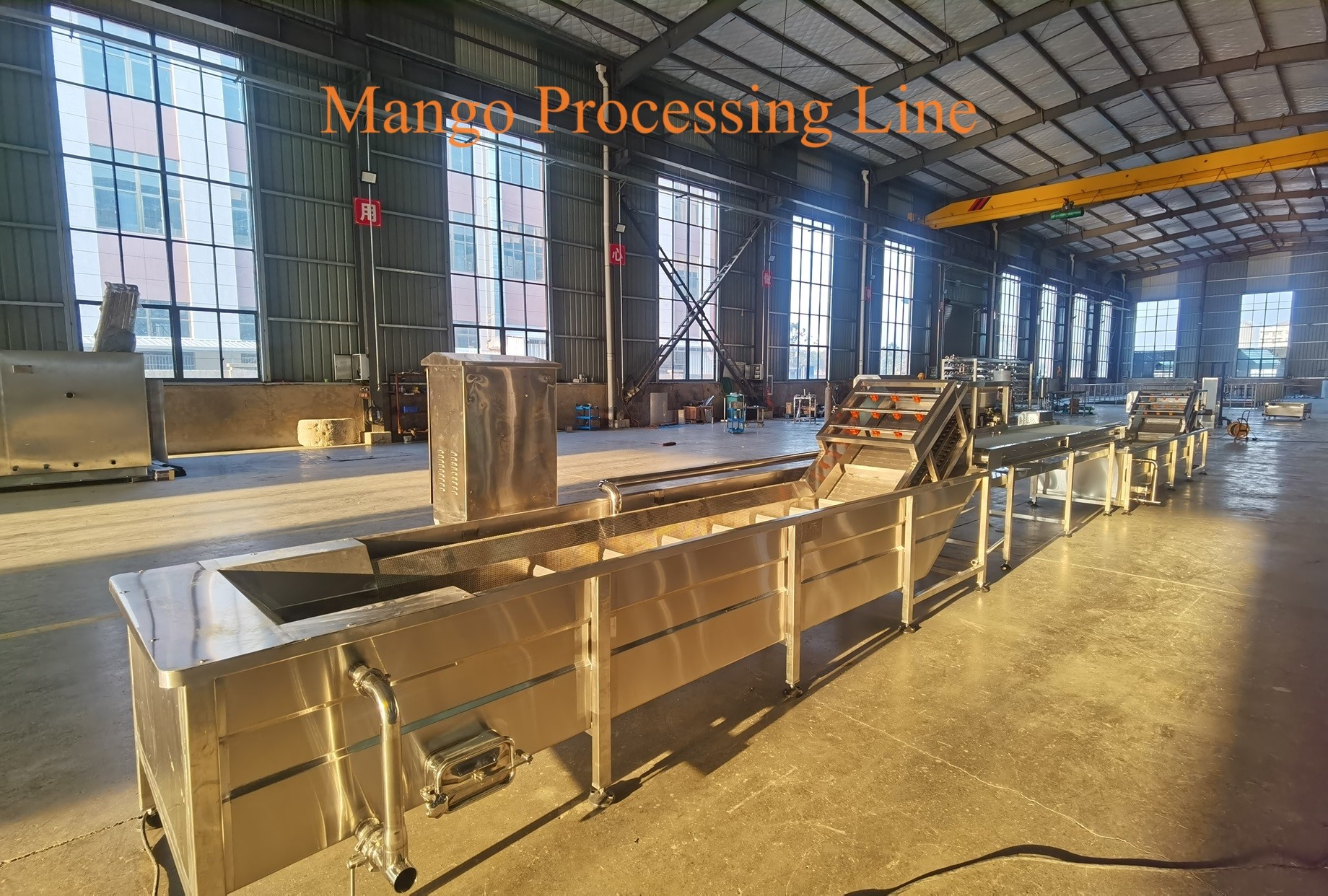 1-3 Ton/h Mango Pulp Processing Line Aseptic Bag Bottle Mango Pulp Processing Machinery