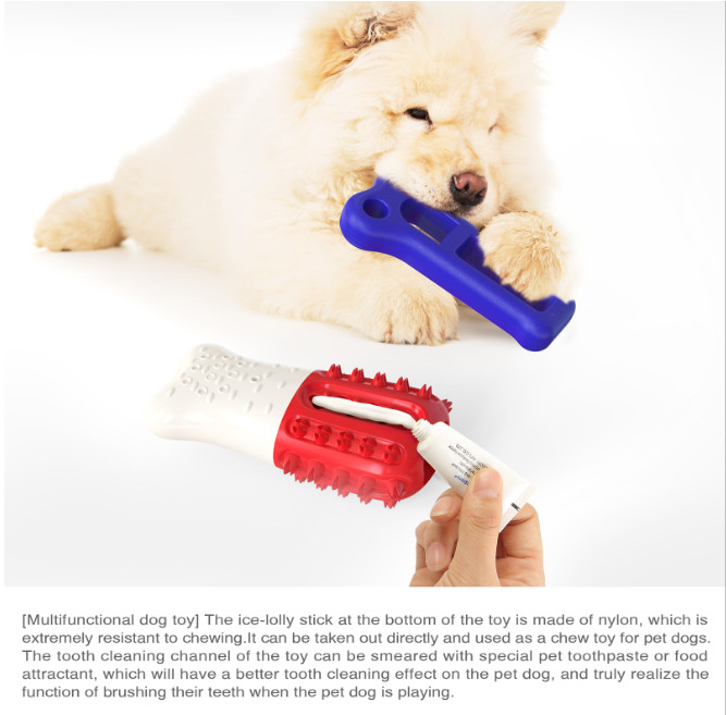 Ice Lolly Dog Chew Toy Brushes Teeth Floatable TPR ABS Material