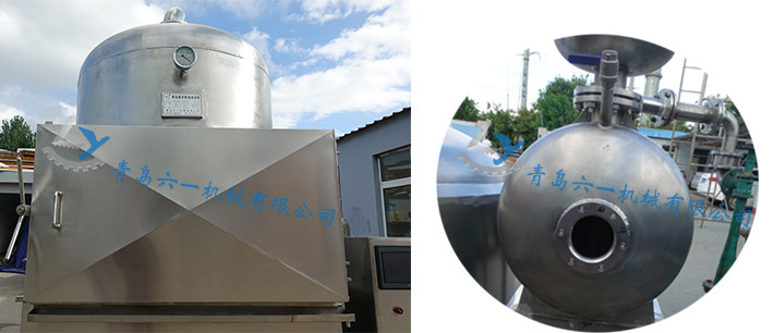 Cantaloupe Fruit Chips Making Machine Vacuum Frying Equipment Automated Operation