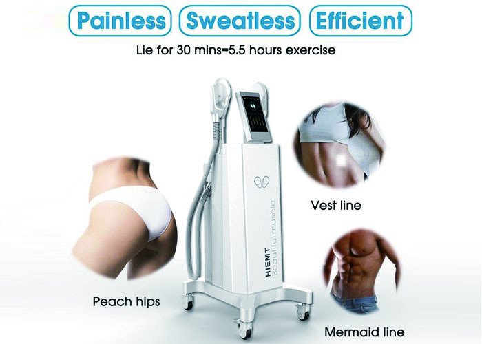 2.3KVA 300us 10MHZ HIEMT EMS Muscle Stimulator Machine