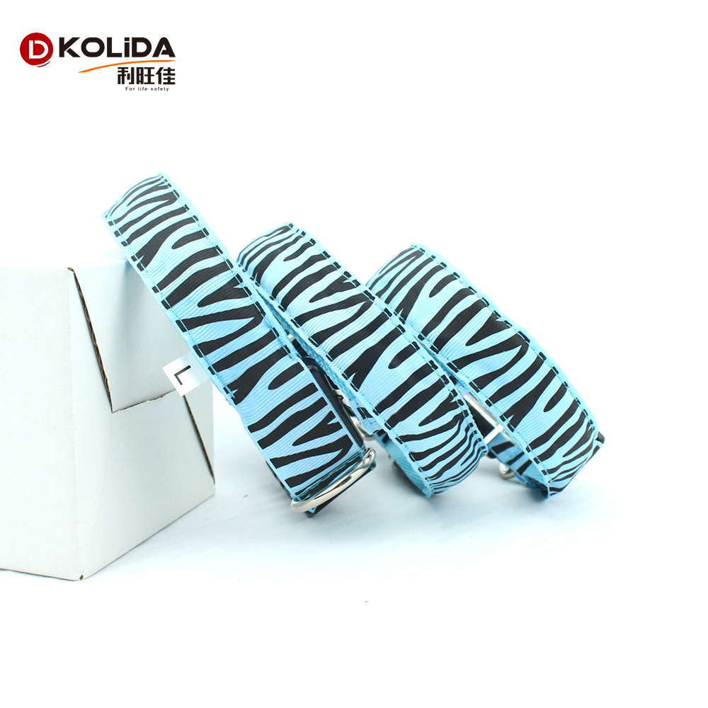 Multi Color Rope Clips LED Dog Collar , Pet Training Dog Collar For Party