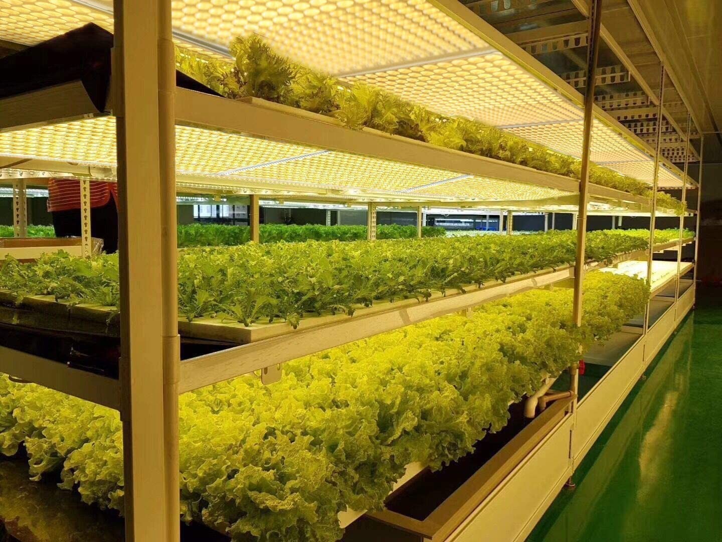 240W Full Spectrum LED Grow Lights