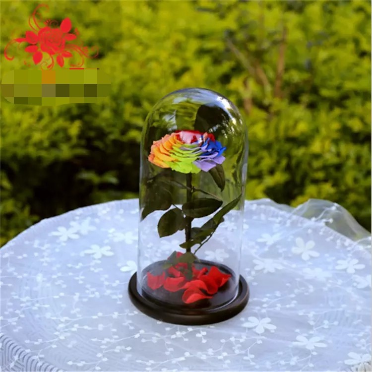 Natural Fresh Roses Flowers Everlasting Preserved Eternal Rose beautiful Rose Preserved Flower