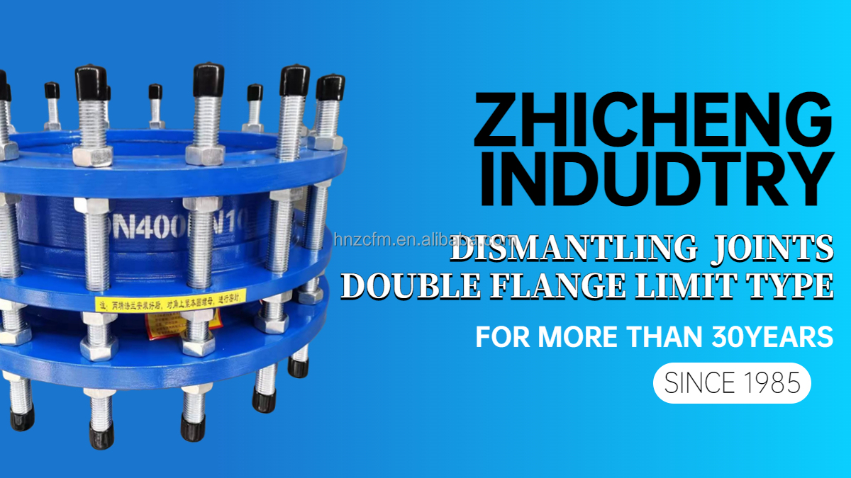 Carbon Steel Pipeline Double Flange Limit Expansion Disassembly Joint For Casting