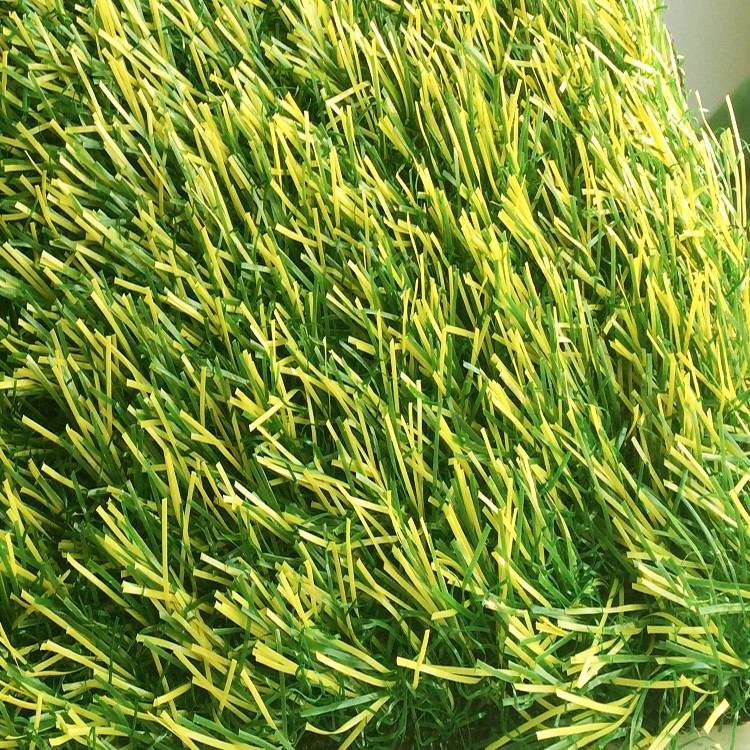 Outdoor Wall Garden Synthetic Turf / Artificial Plastic Grass On Paving Slabs