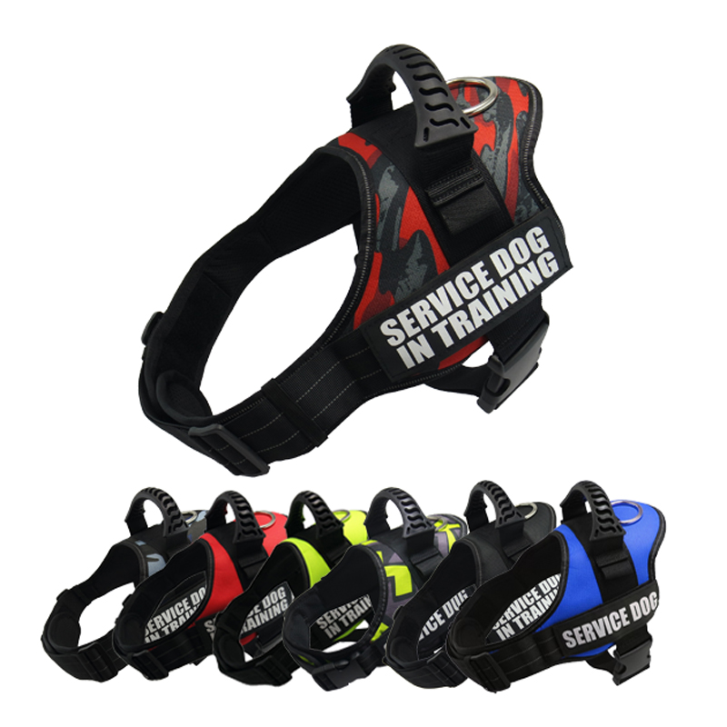 Sublimation Patterns Multicolor Dog Harness Bandana Sets With Metal Hook