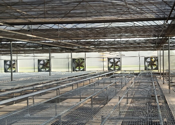 1.7m 1.8m Welded Wire Mesh Steel Rolling Benches Table Seedbed For Vegetable Nursery Seedling In Greenhouse