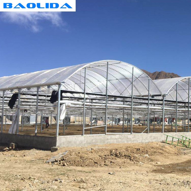 Automatic System Multi-Span Greenhouse PC Polycarbonate Film Greenhouse Steel Structure