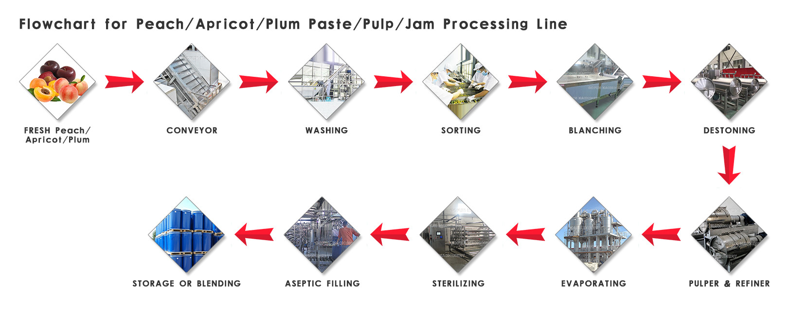 3tons/Day PLC Control Peach Apricot Fruit Processing Line