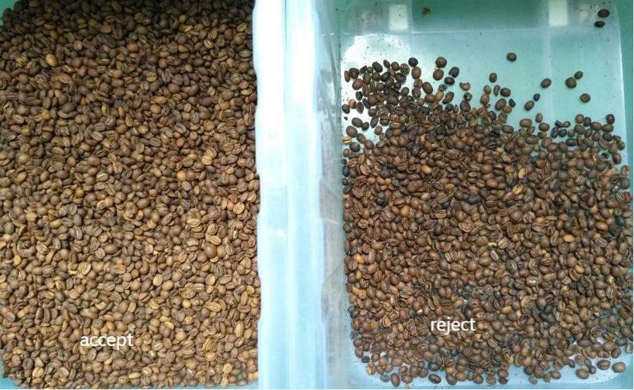 Coffee Bean / Lentil Beans Color Sorter With FPGA Processor