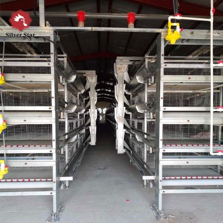3 Tier H Type Pullet Cage Battery Baby Layer Chicken Cage For 50000 Birds