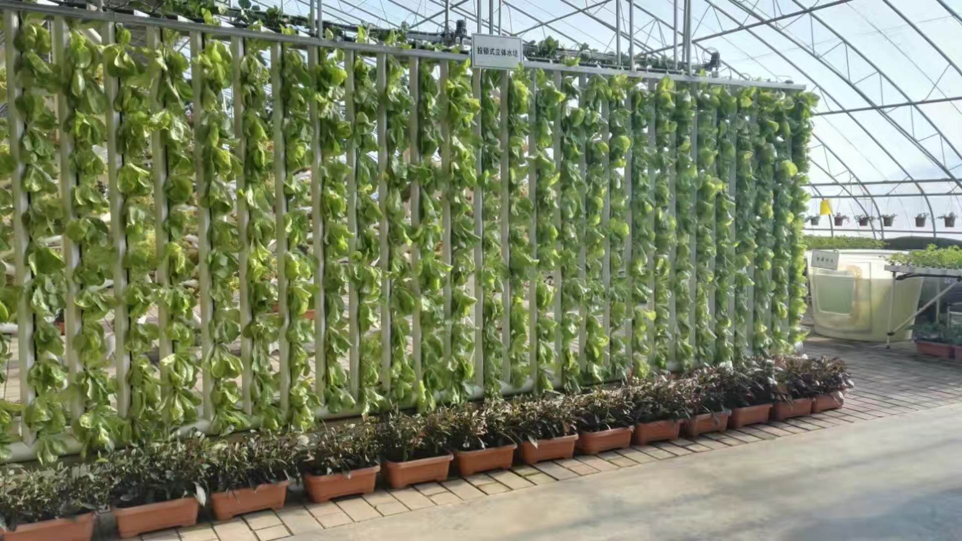 Indoor Hydroponic Growing Systems Home Zip Vertical Hydroponic System