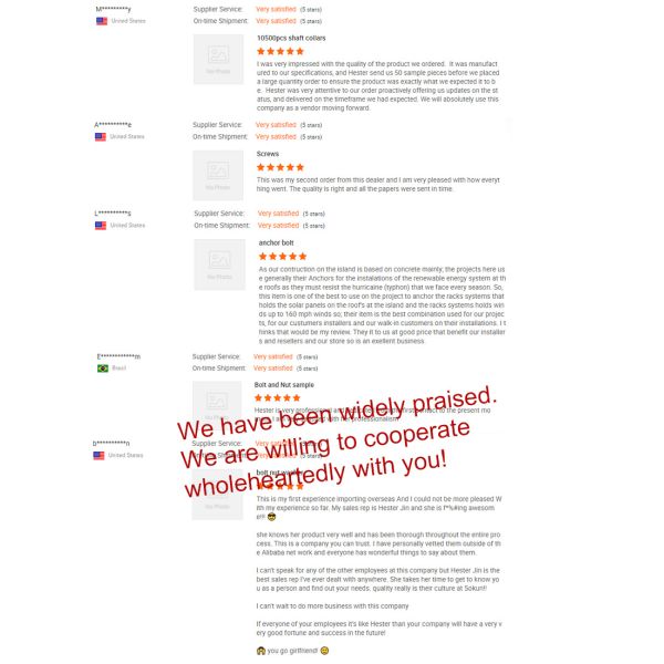 Stainless Steel Spring Channel Nuts Precision Machined Galvanized/Zinc/Nickel Plated Chamfered Edges for Mining Application