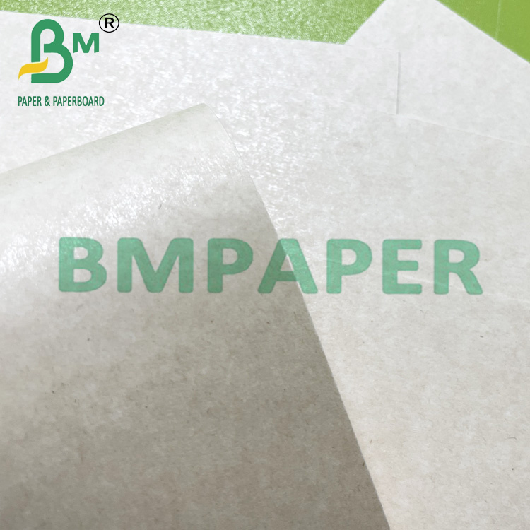 90 ~ 360gsm Eco-Friendly Sugar Cane Fiber Paper For Disposable Cups