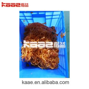 Persimmon Peeling Machine Compact Structure Persimmon Drying Machine