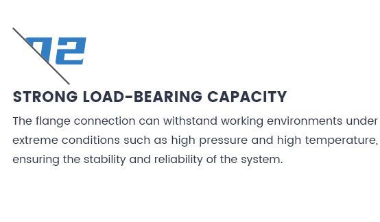 High Quality Pl So Wn Sw Pj/Se If Th Bl Flange Factory Surface Type FF FM Mf Tg Rj Carbon Steel /Stainless Steel /Aluminum Flange