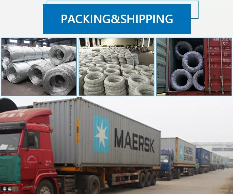 Bwg 20 21 22 Galvanized Iron Wire 6kg 6.5kg 7kg For Binding