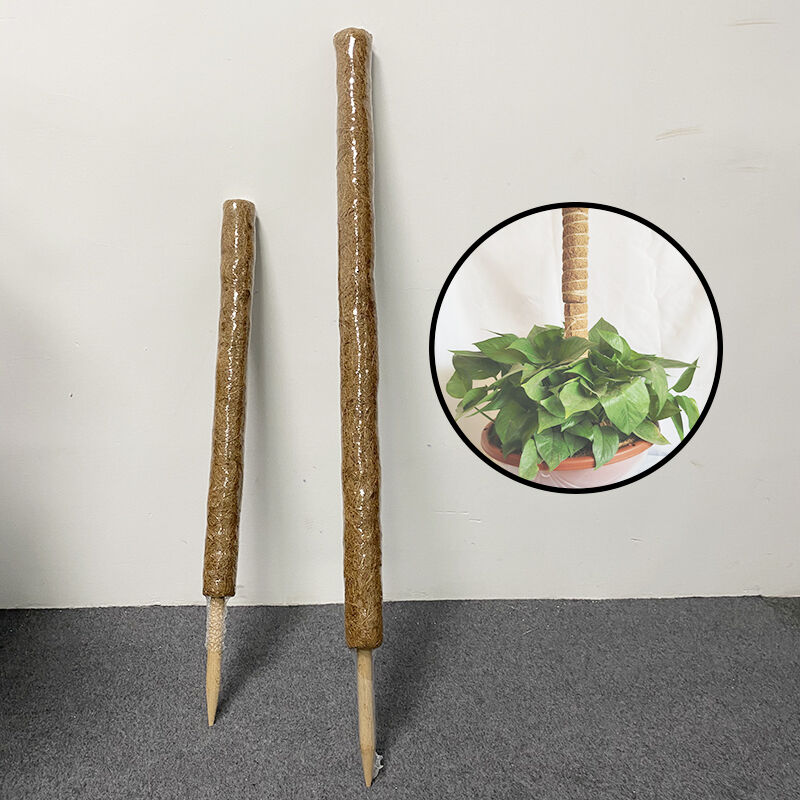 Plant Support Stackable Moss Poles for Plants Coir Totem Pole Tall Moss Pole for Climbing Plants Sphagnum