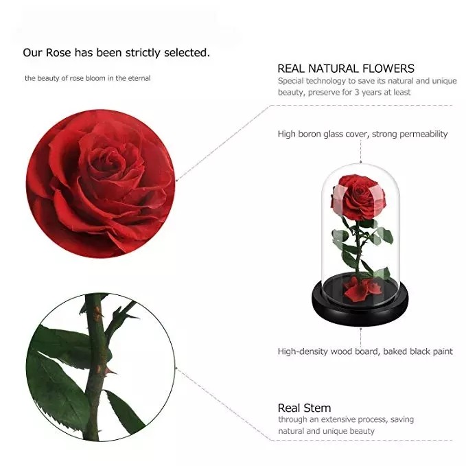 Luxury DIY Gift Preserved Rose In Forbidedden Glass Dome Long Lasting Beauty And The Beast Rose
