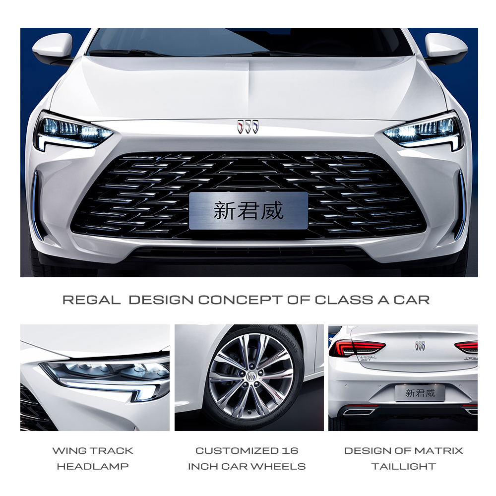 2024 Buick Regal Turbo Luxury Gas Automobile with High Level Appearance and Turbo Engine Type from 's Energy Vehicle