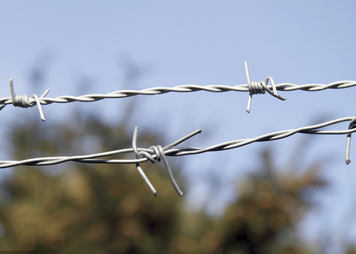 Use Of Prison Walls Double Twisted PVC Coated /Galvanized Barbed Wire Coils