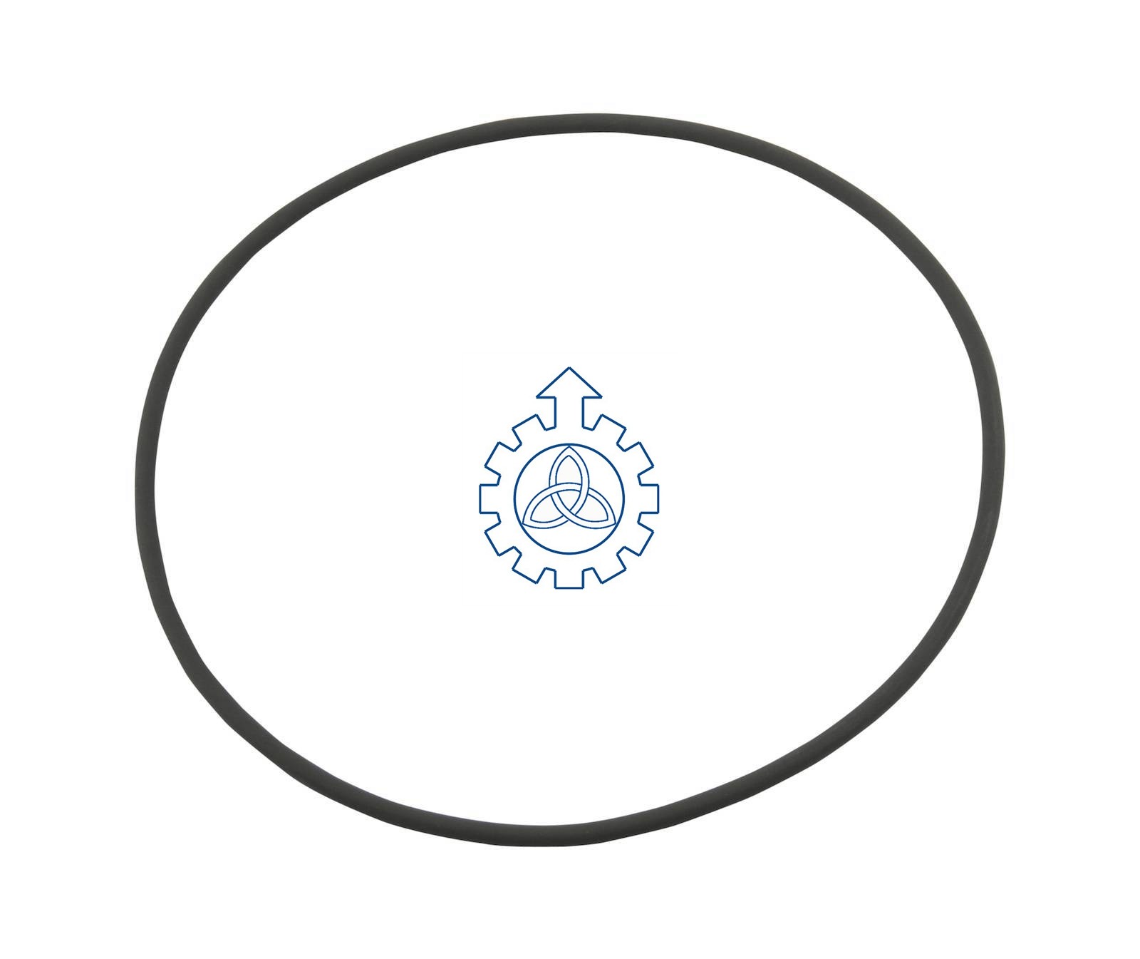 O-ring, cylinder liner 99459176