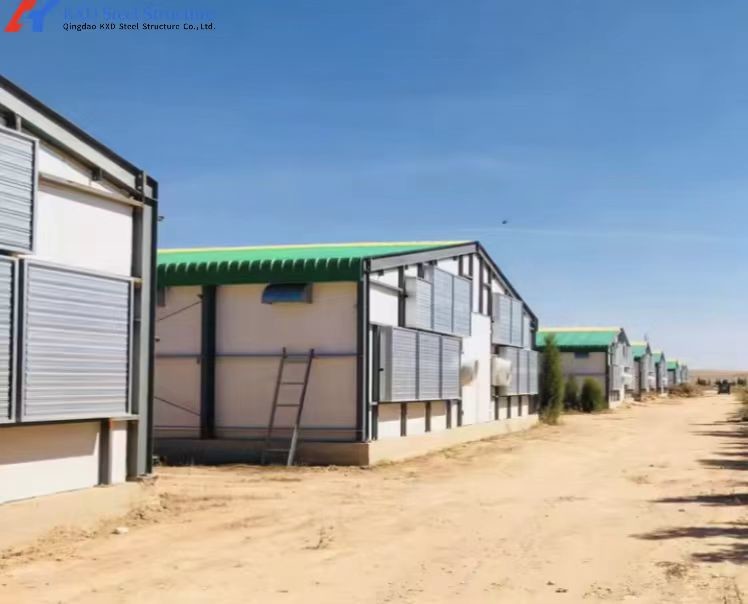 Prefab Steel Structure Poultry Farm Shed Chicken Farm House Building