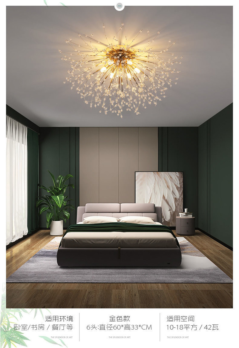 Dandelion Ceiling Light Living Room Kitchen Decor Firework Snowflake Ceiling light(WH-MA-168)
