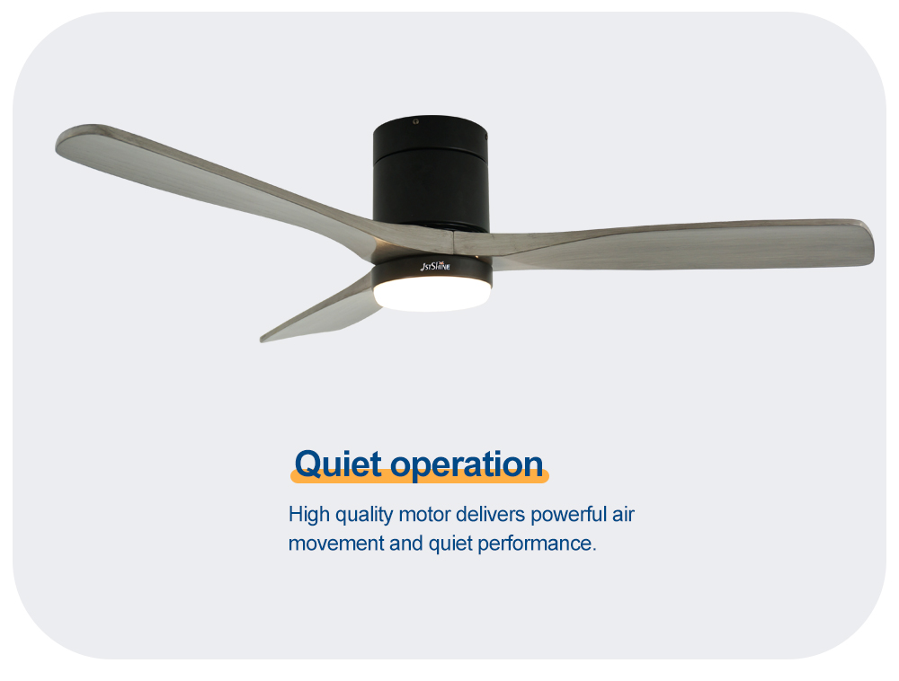 ceiling fan