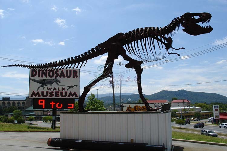 Golden Plated Complete Dinosaur Fossil Dino Skeleton For Amusement Park