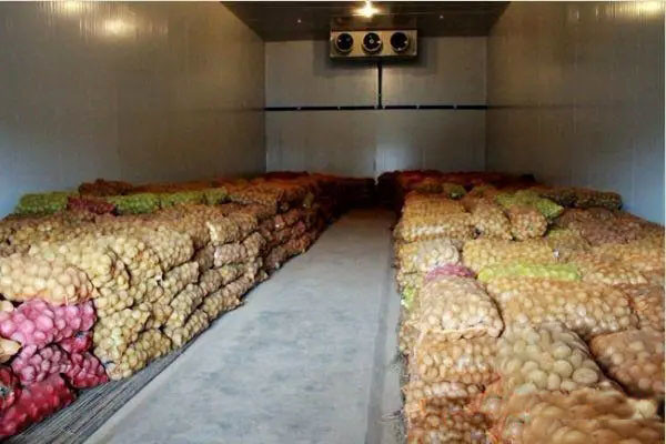 Commercial Walk In Refrigerator Cold Room Freezer Vegetable Medicine
