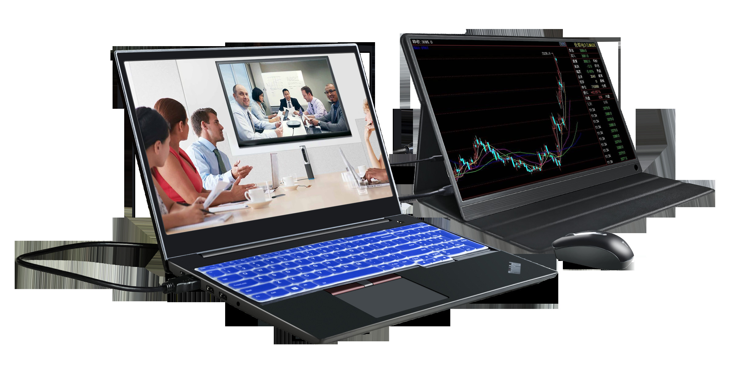 178 Degree Full View 72% Color Gamut 13.3 Inch Portable FHD Monitor