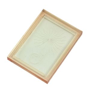 Zegota Lab on Chips 3D Printing Services Electrode Integration