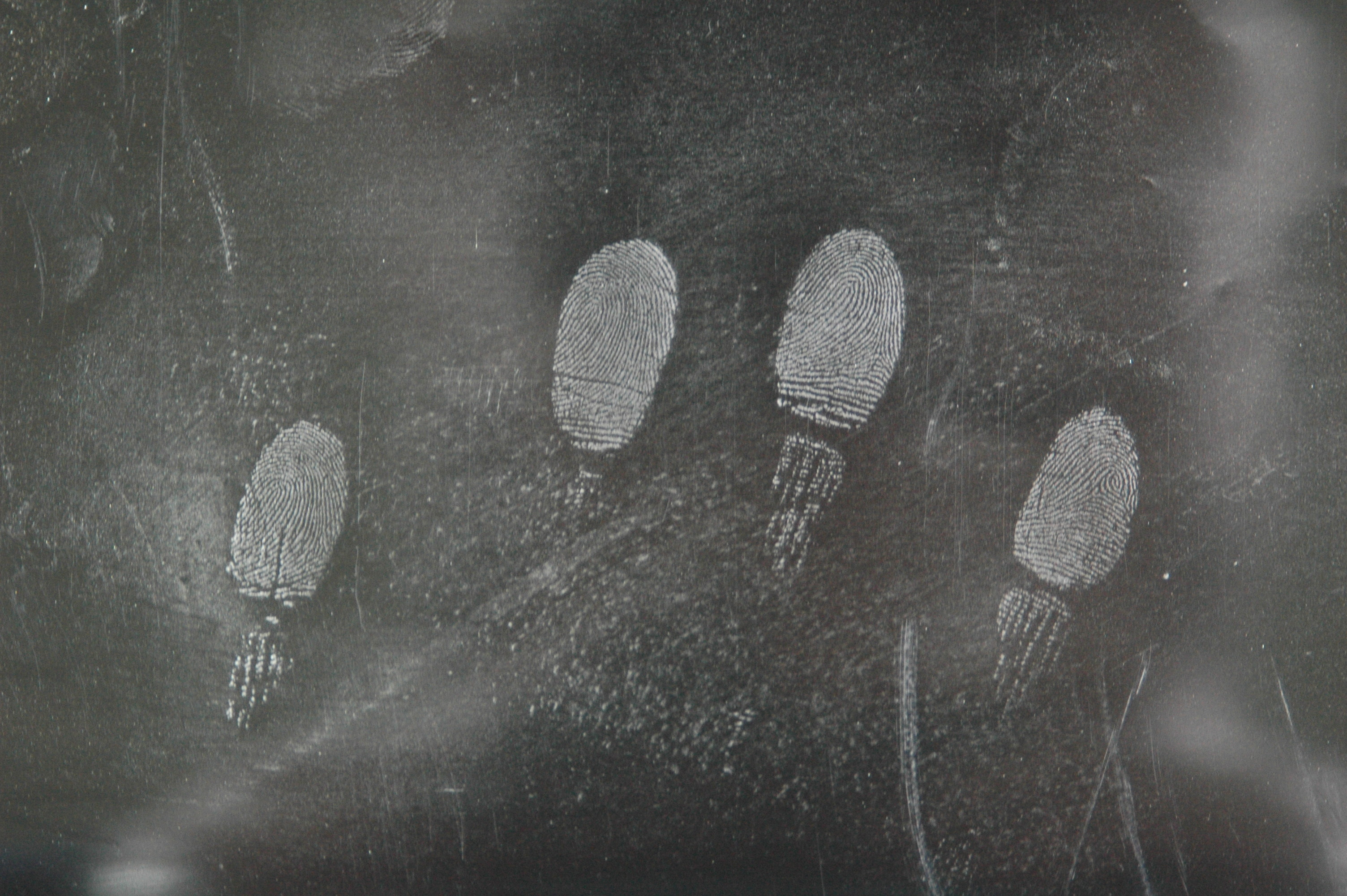C071 Silver metallic fingerprint powder