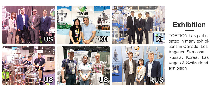 5L-250L Jacketed Lab Reactor With Filtration Stirring Function