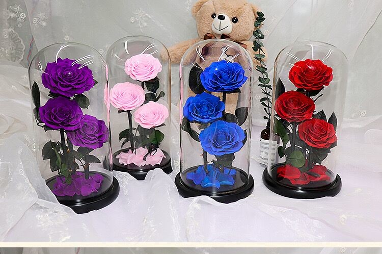 beauty and the beast roses preserved roses in glass dome rose for lover's gift