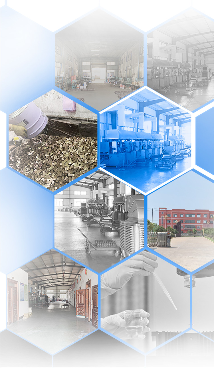 Global Market Diamond Grinding Disc Wheel Sintered Segment for Strong Slabs Grinding