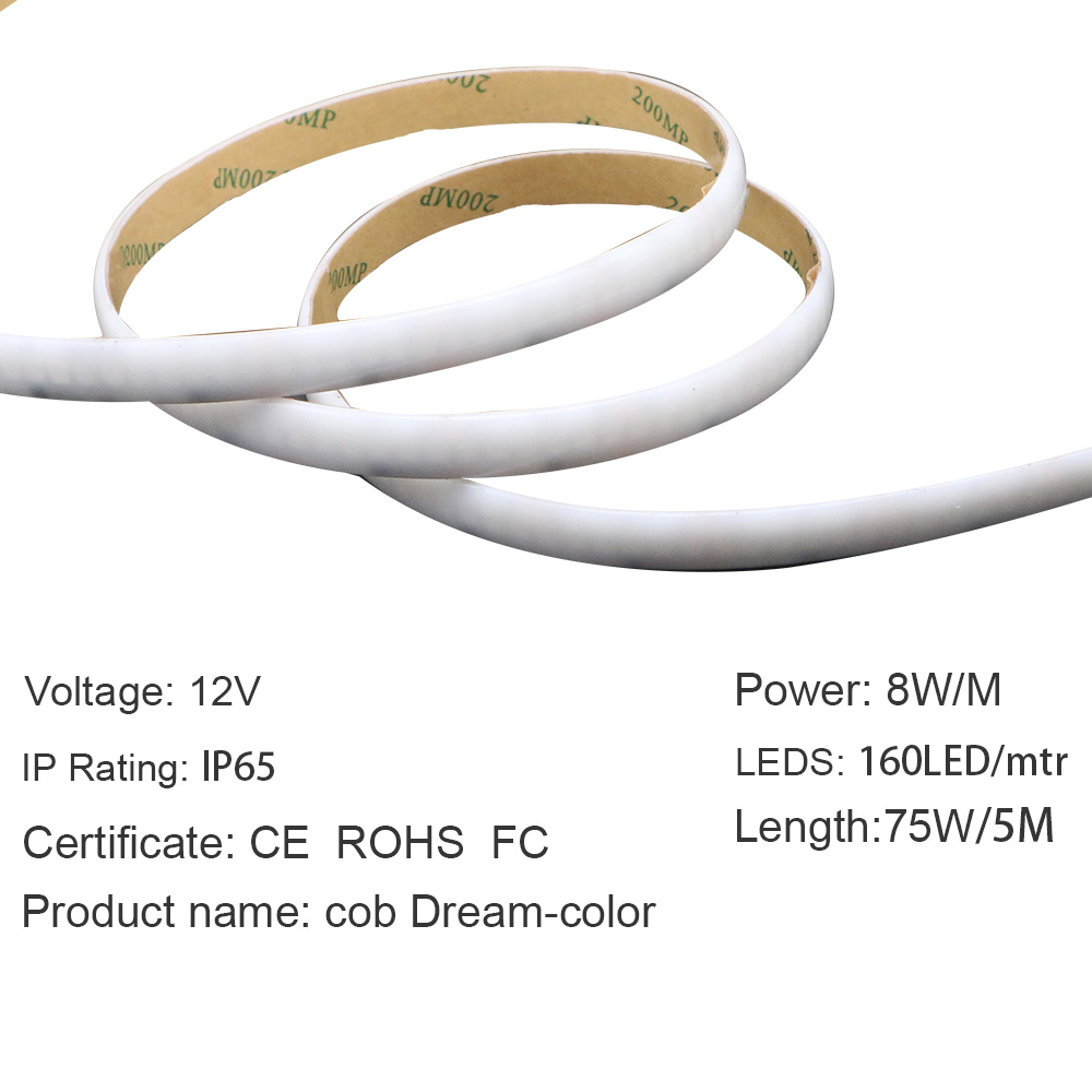 Ws2812b COB LED Strip Dream Color RGB RGBW Strip Light 24V 720leds/M
