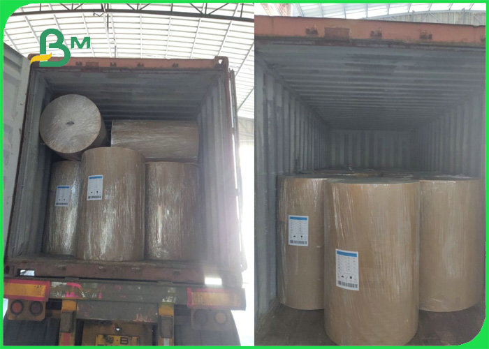 Coated Duplex Board White Surface For Shirt Lining Packaging 250gsm 300gsm 